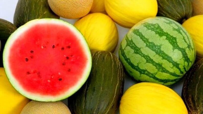 Watermelon and melon - dangerous berries for diabetics